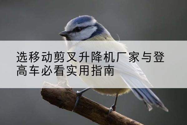 舒城电动升降机厂家-选移动剪叉升降机厂家与登高车必看实用指南