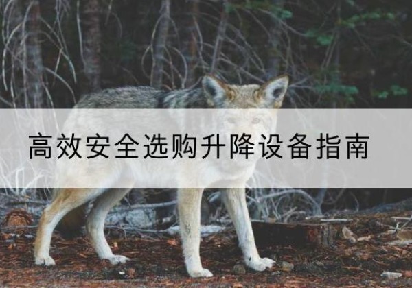 舒城升降货梯厂家推荐-*安全选购升降设备指南