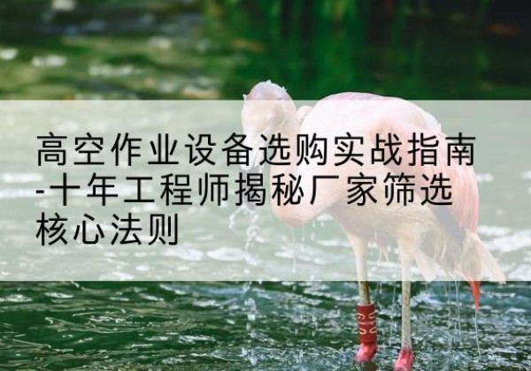 舒城剪叉式升降机厂家-高空作业设备选购实战指南-十年工程师揭秘厂家筛选核心法则